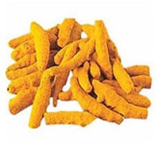 Manufacturers Exporters and Wholesale Suppliers of Turmeric Finger Ahmedabad Gujarat